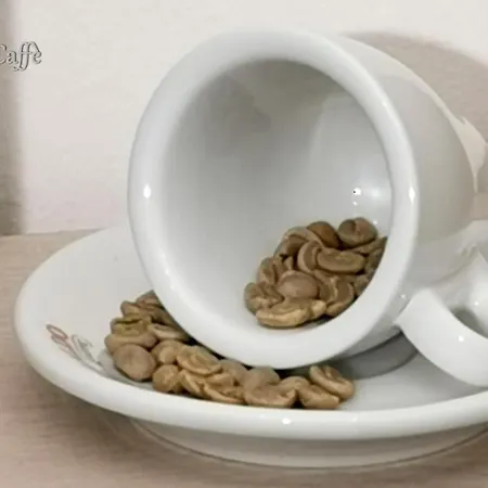 Casa Del Caffe *
